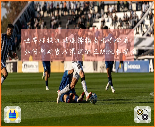 世界杯投注站选择指南老手必看：如何判断官方渠道的正规性和安全性