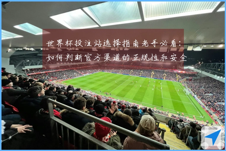 世界杯投注站选择指南老手必看：如何判断官方渠道的正规性和安全性
