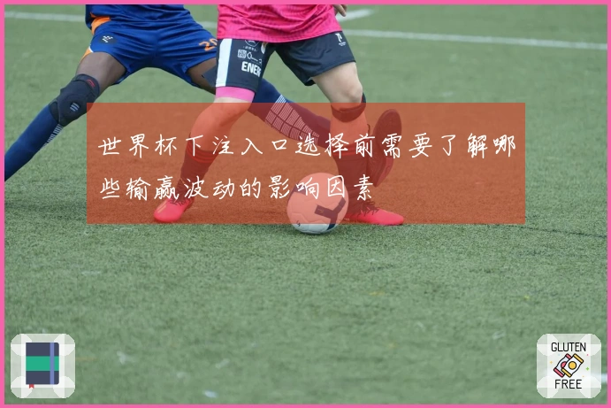 世界杯下注入口选择前需要了解哪些输赢波动的影响因素