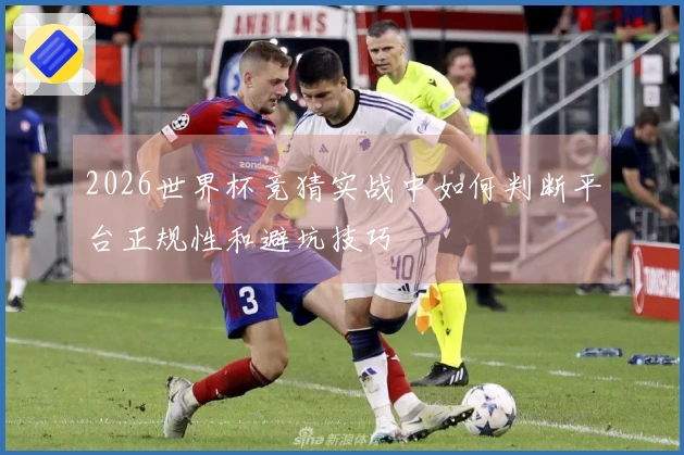 2026世界杯竞猜实战中如何判断平台正规性和避坑技巧