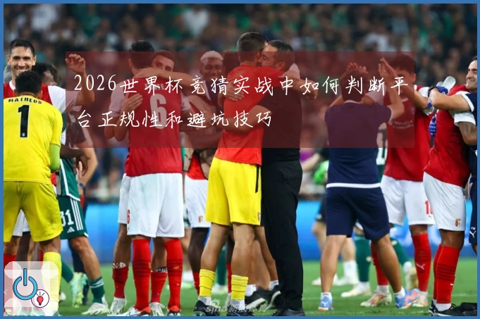 2026世界杯竞猜实战中如何判断平台正规性和避坑技巧