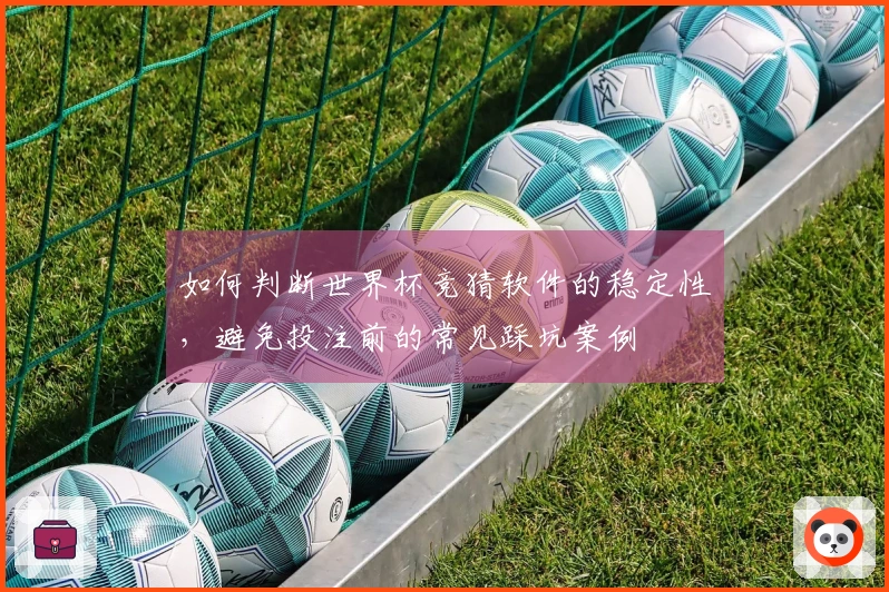 如何判断世界杯竞猜软件的稳定性，避免投注前的常见踩坑案例